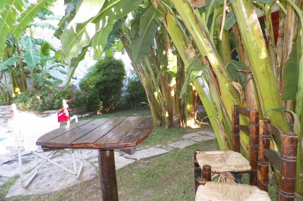Hostel Mendoza Inn Dış mekan fotoğraf